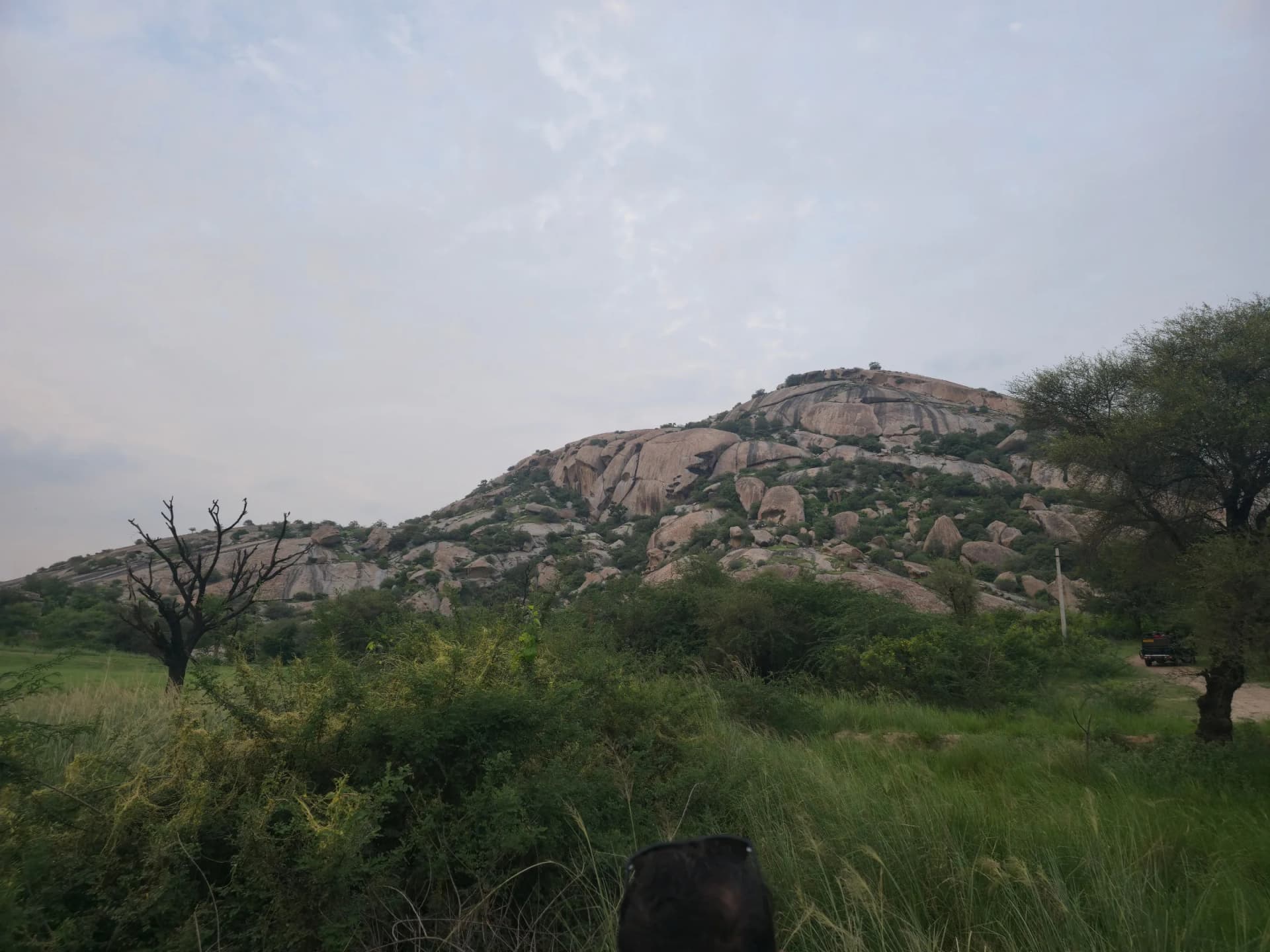 Udaipur photo 8
