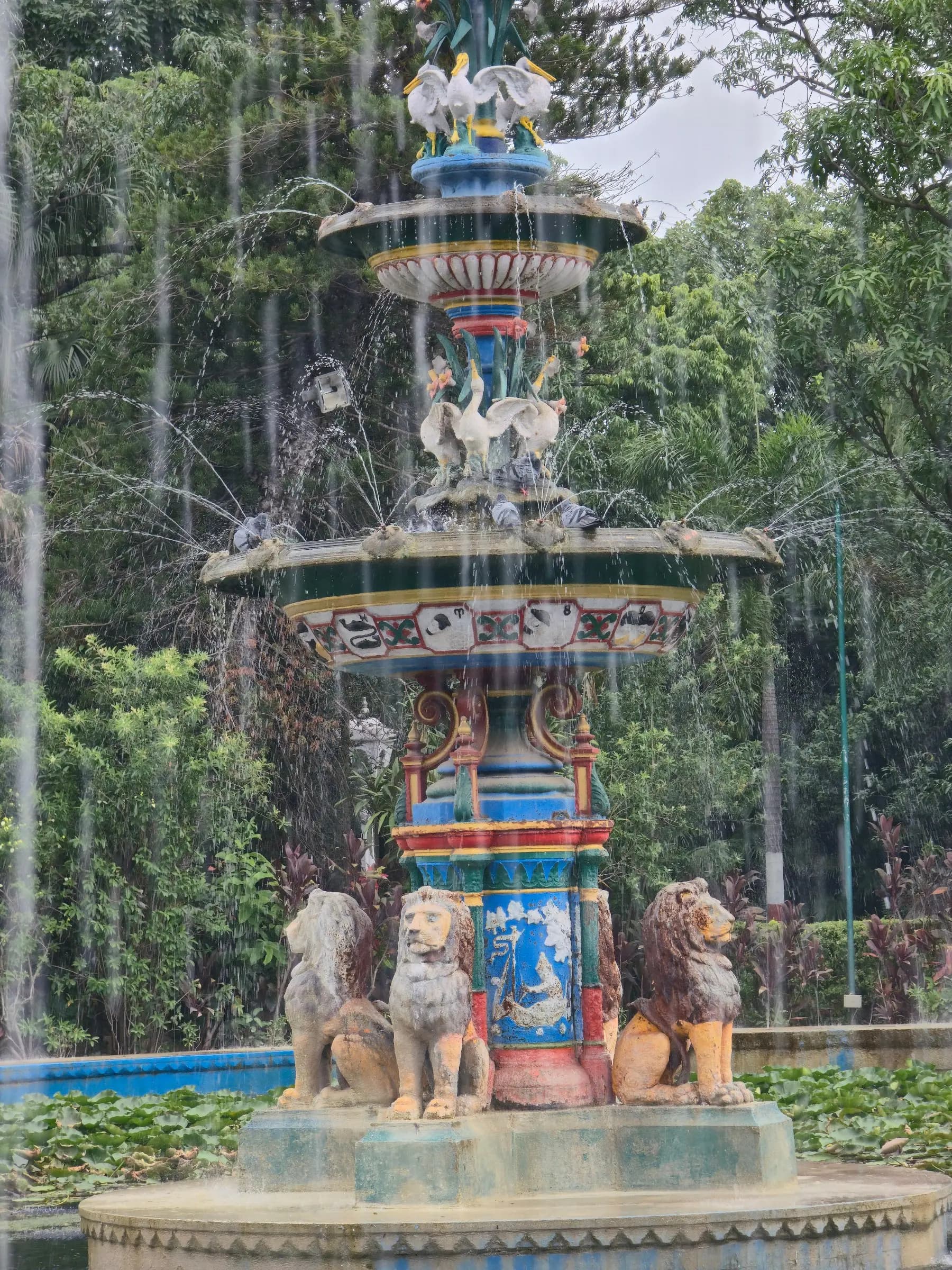 Udaipur photo 16