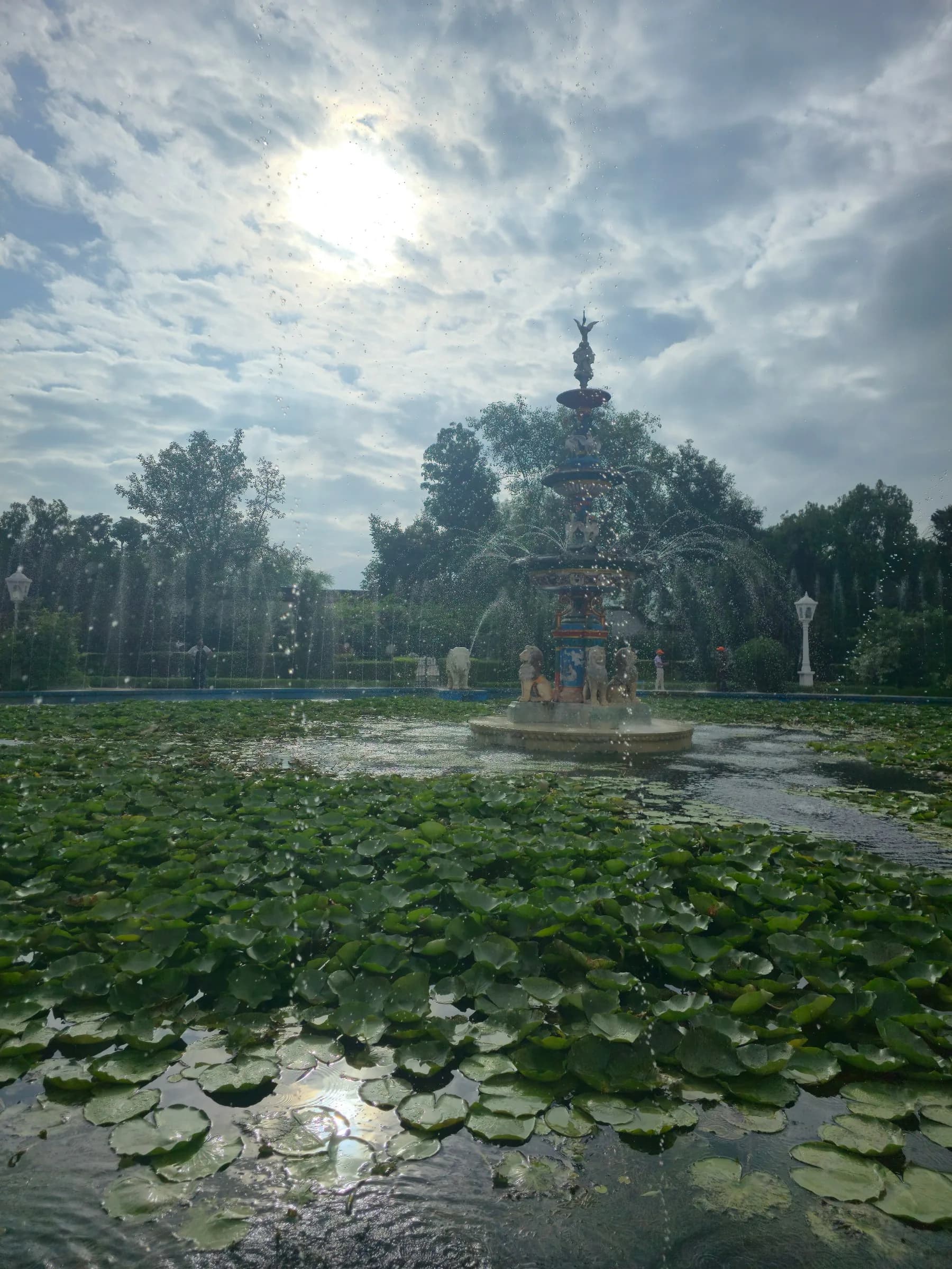 Udaipur photo 17