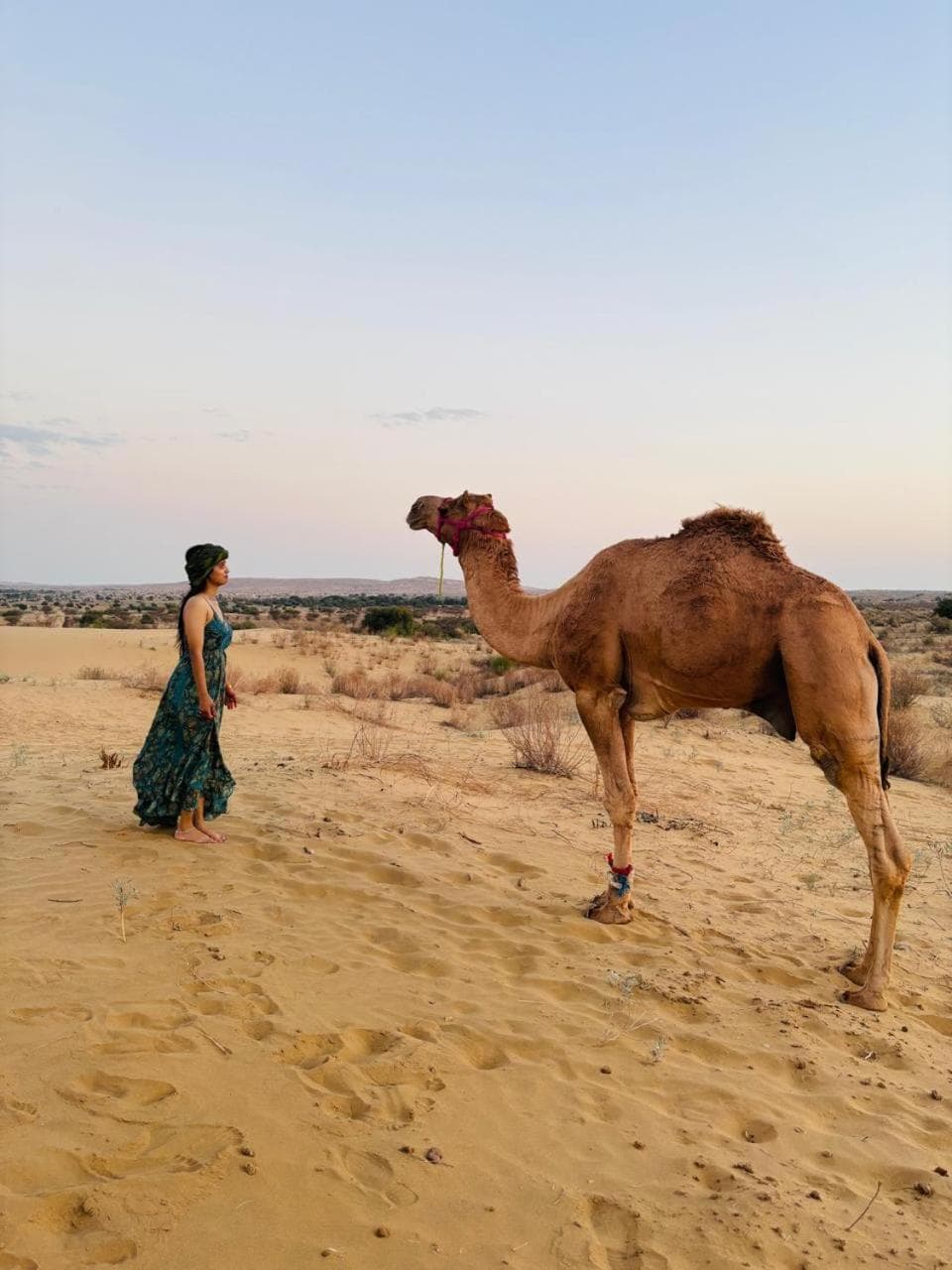 Crazy Camel Hotel & Safari photo 4