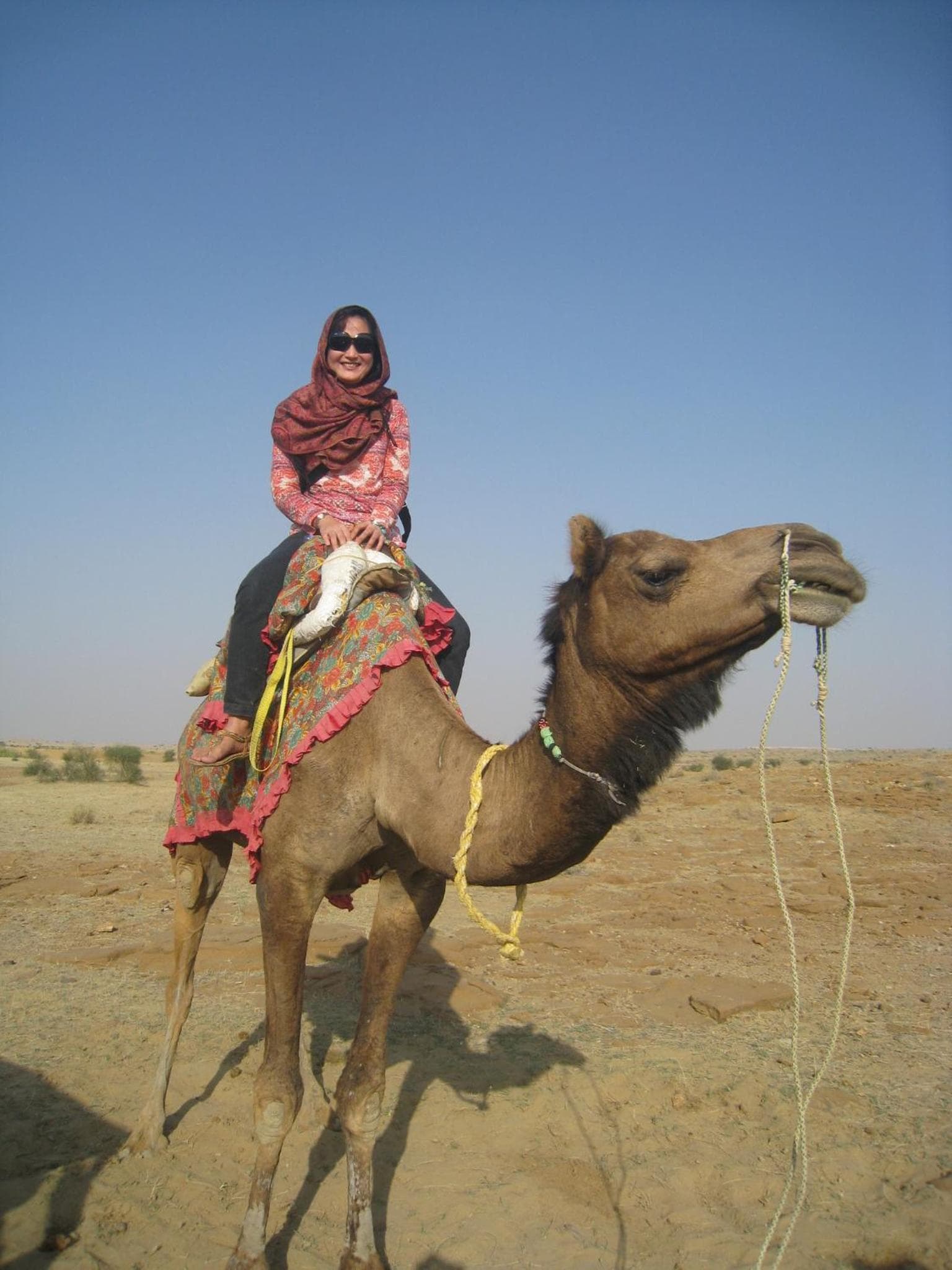 Shahi Palace Hotel Jaisalmer photo 5