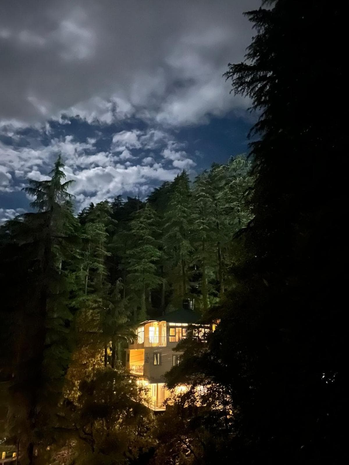 Eevolve Dharamkot - An Eco Hostel photo 2